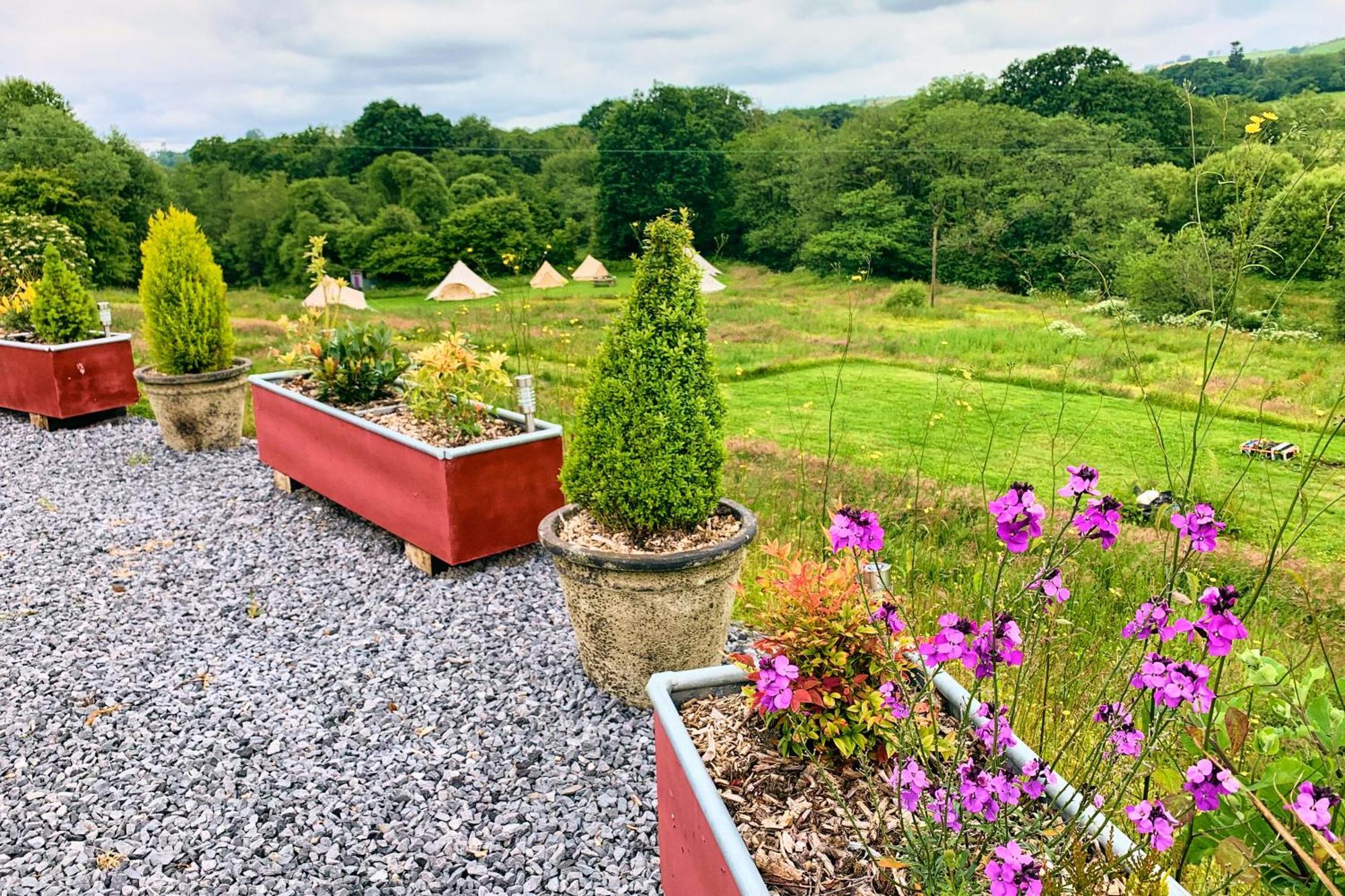 Oak Tree Farm Hotell Llanfynydd Exteriör bild